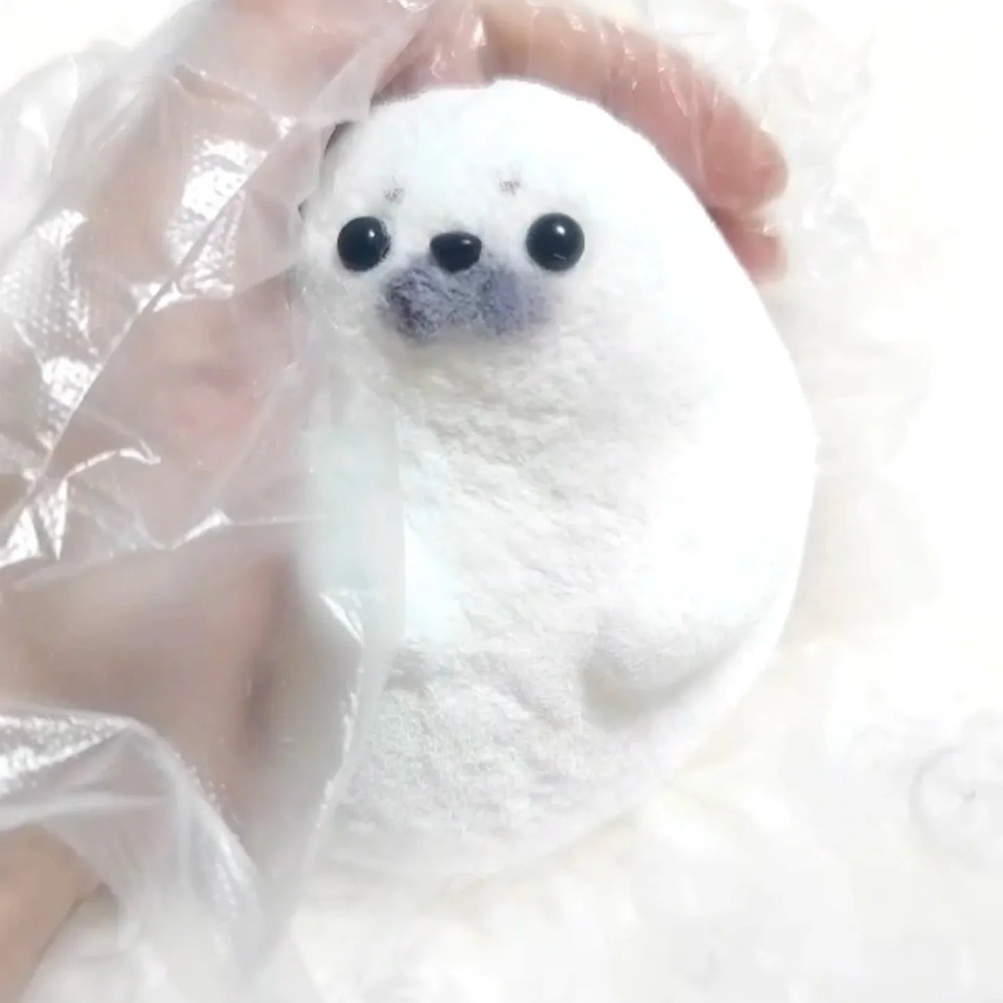 Baby Seal Squishy Toy
